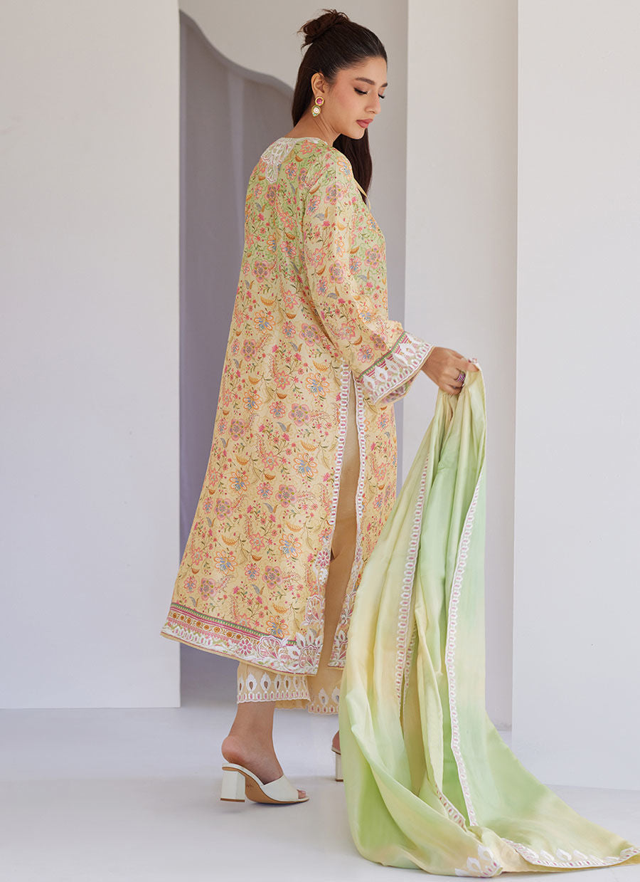 Leora Ombre Shirt And Dupatta